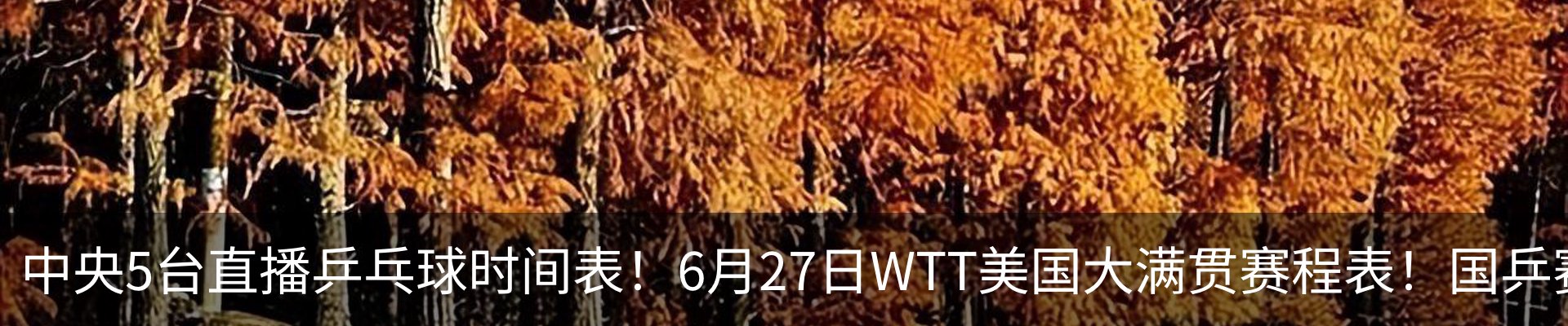 资讯中心